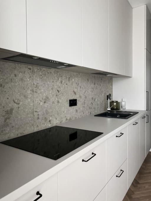 Apartament Bonhaus Wislanetarasy Kraków Eksteriør billede